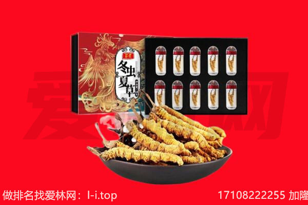 龙山区回收虫草.jpg